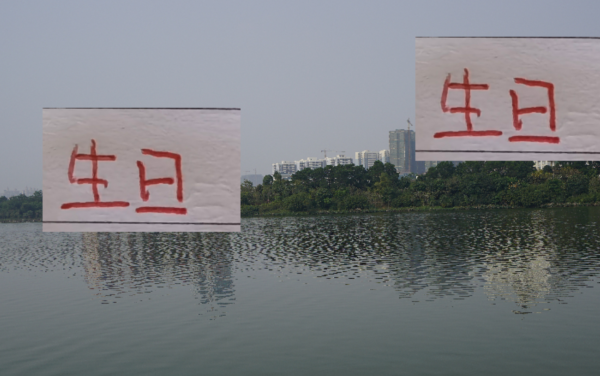 核武7诞辰！武磊出谈以来每年都有进球！本年能收冠军算作礼物吗