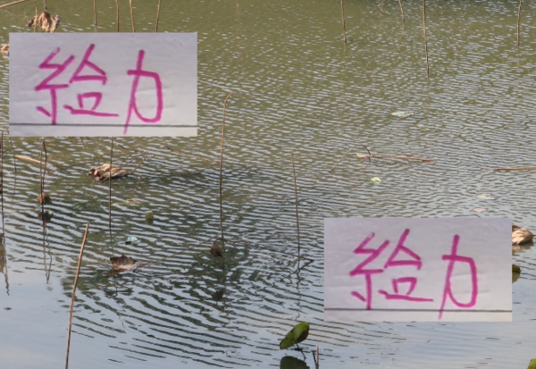 从海港的吾米提江 到深圳拜合拉木 中超新疆球员越来超越劲